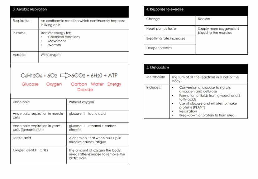 Biology Topic 4: Bioenergetics
1. Photosynthesis
6CO₂
Carbon Dioxide + Water
Photosynthesis
Uses of glucose
Carbon dioxide
2. Rate of photos