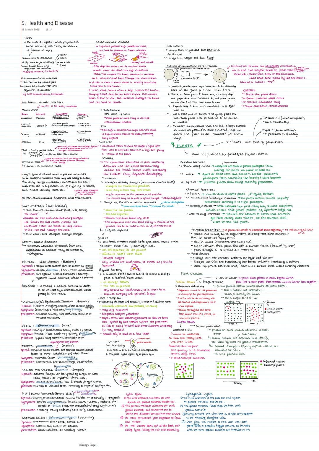 Biology T.5: Health and Disease
