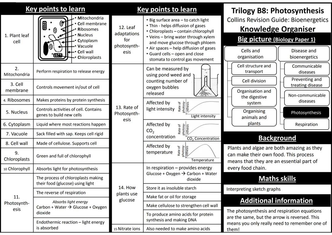 B8-Photosynthesis