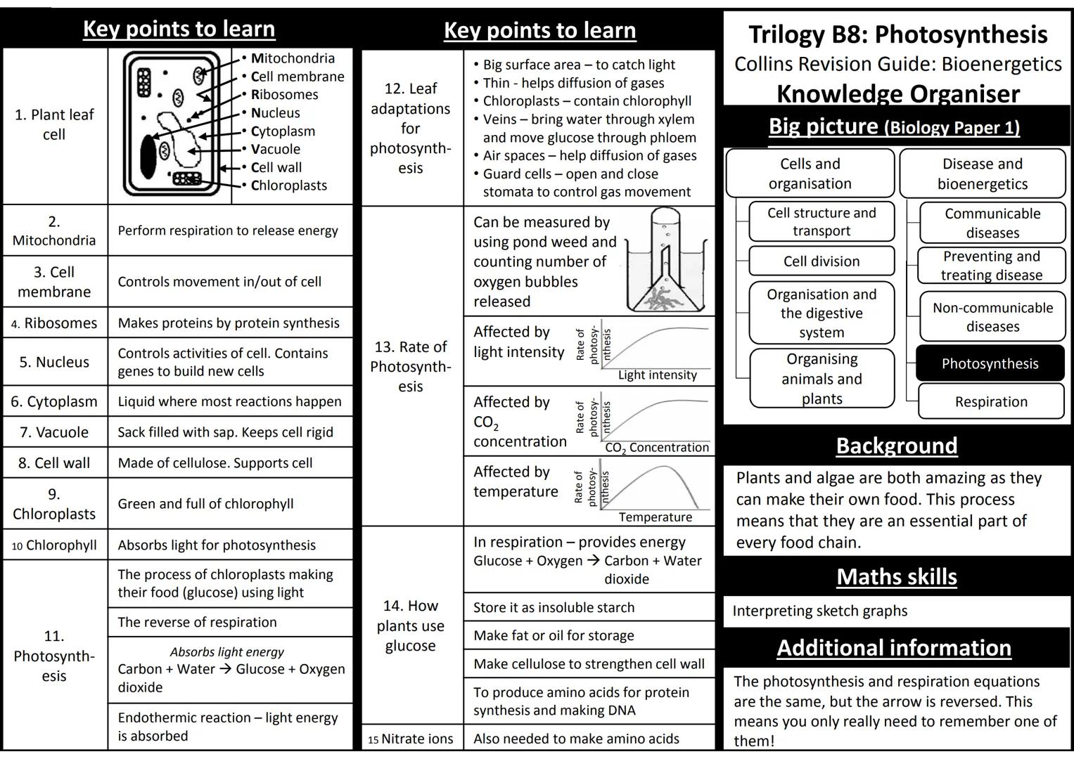 Key points to learn

1. Plant leaf
cell

2.
Mitochondria

3. Cell
membrane

4. Ribosomes

5. Nucleus
'8888
*   Mitochondria
*   Cell membran