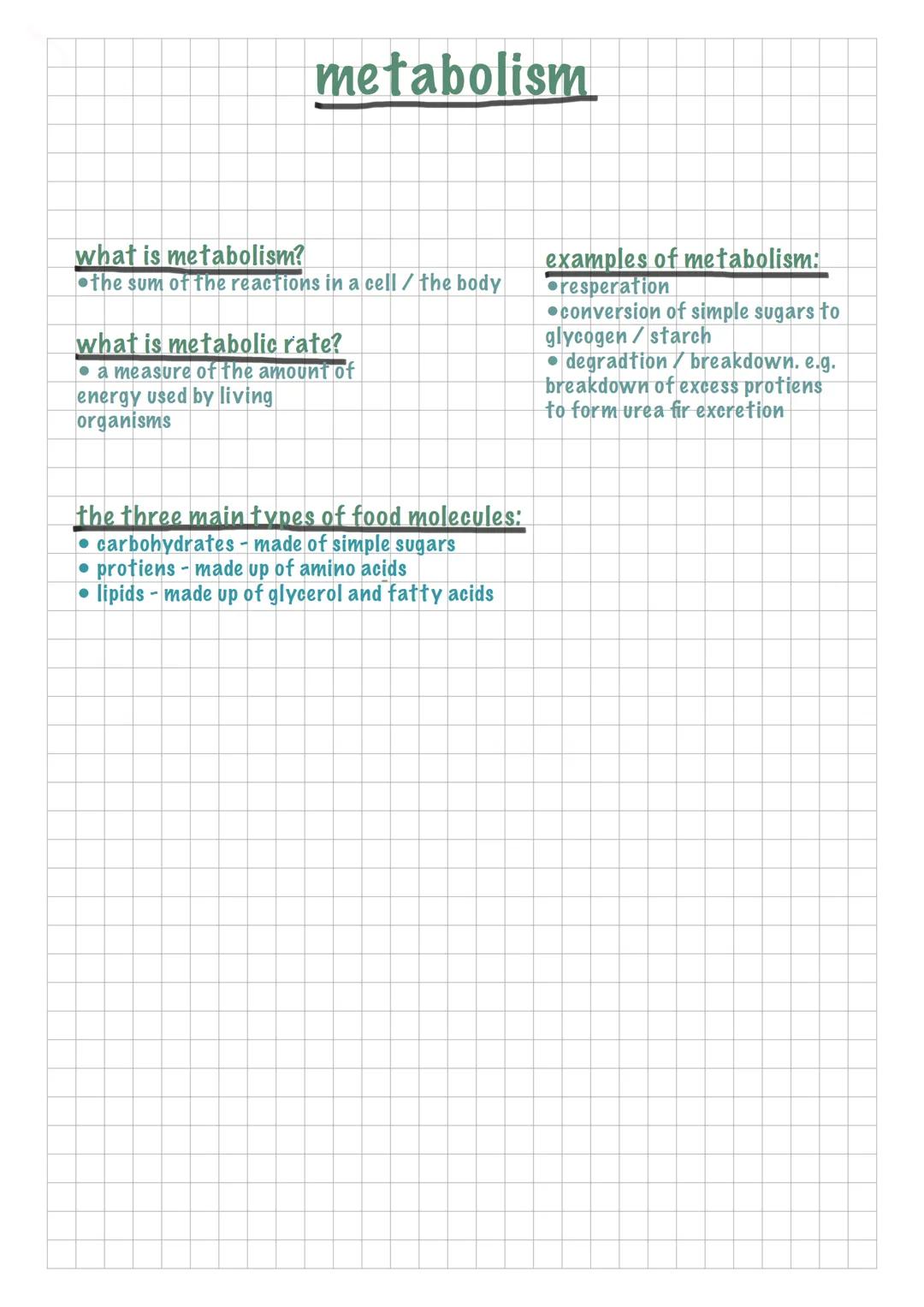 metabolism
what is metabolism?
the sum of the reactions in a cell / the body
what is metabolic rate?
a measure of the amount of
energy used 