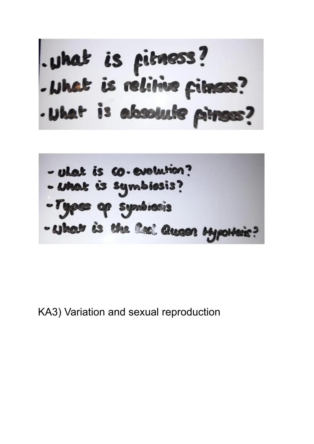 KA 5) Protein control of cell division
a) The cytoskeleton and cell division
• Describe the structure and function of the cytoskeleton in eu