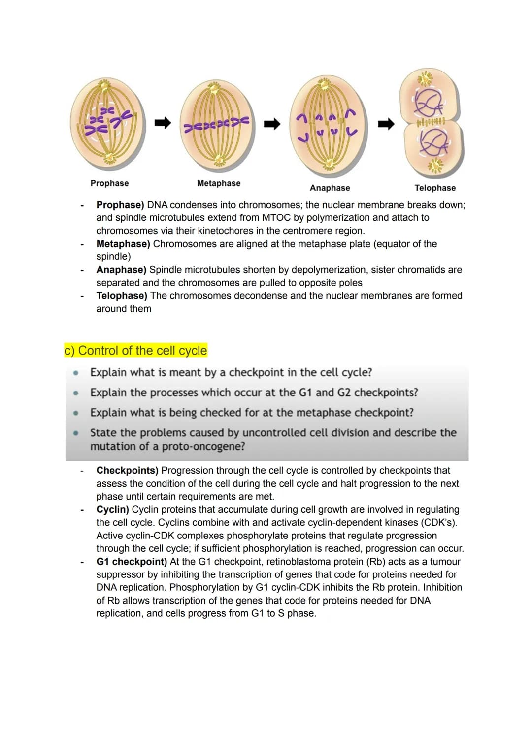 KA 5) Protein control of cell division
a) The cytoskeleton and cell division
• Describe the structure and function of the cytoskeleton in eu