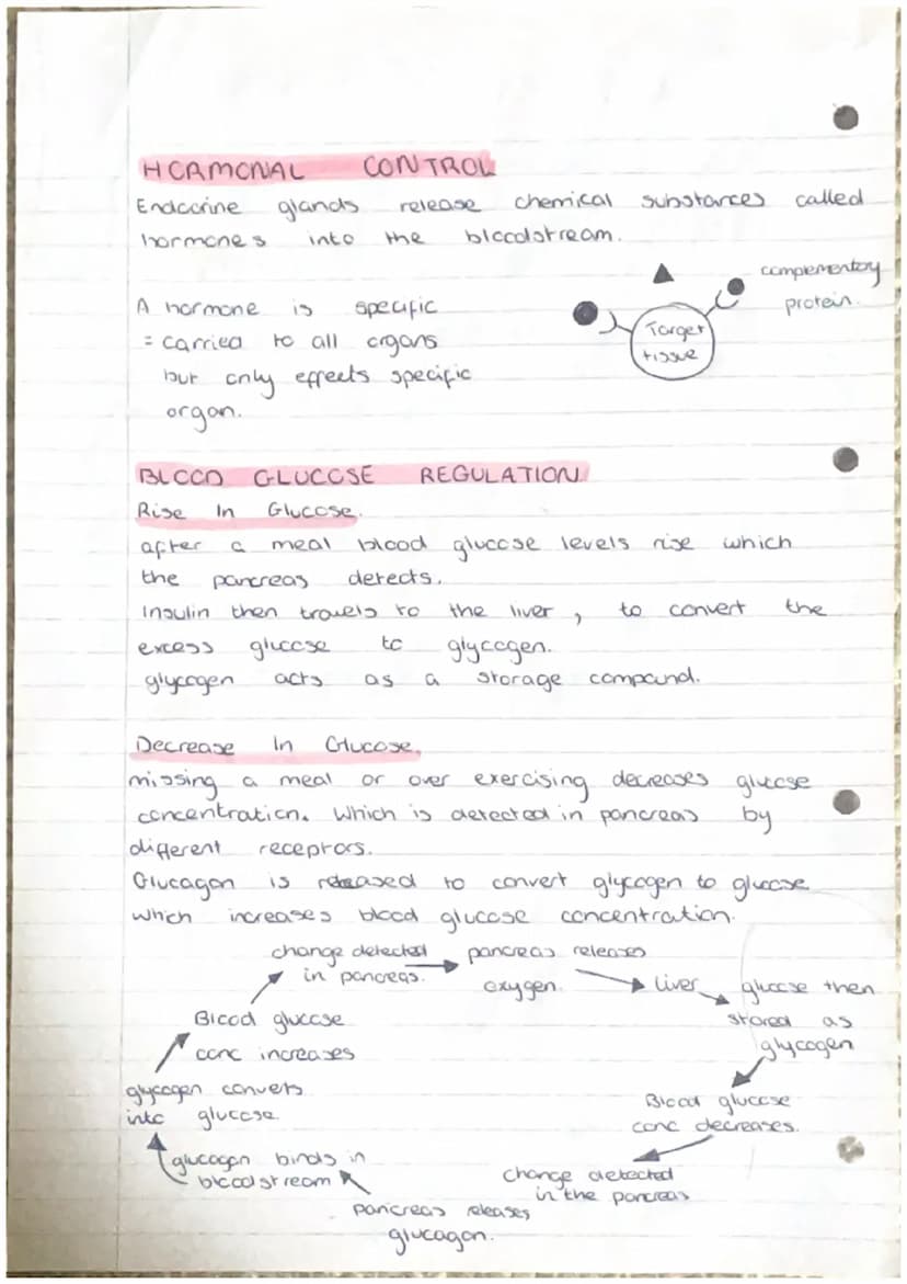 moi
2
3.
Producing New Cells
Cell
grow and
Humans have
from
*Ke
division
000
(000)
essential for
to
organisms
repair by replacing damaged ce