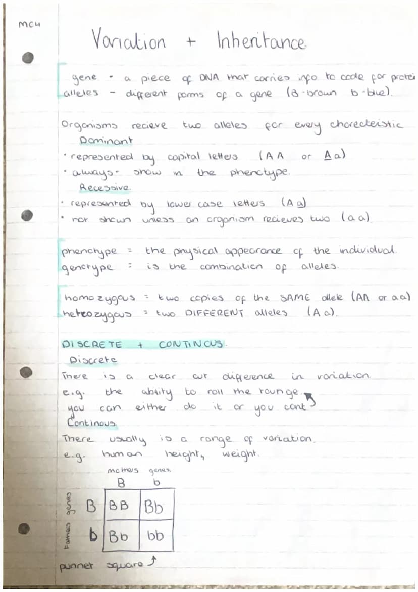 moi
2
3.
Producing New Cells
Cell
grow and
Humans have
from
*Ke
division
000
(000)
essential for
to
organisms
repair by replacing damaged ce