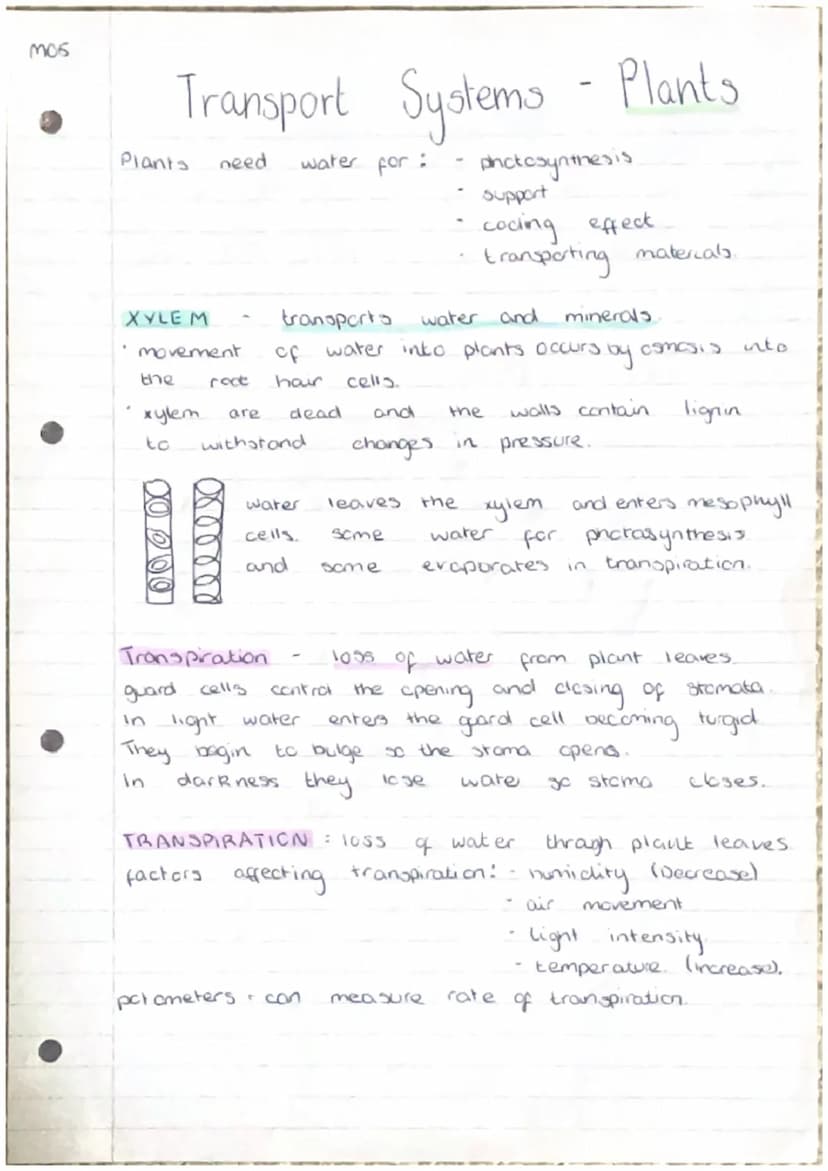 moi
2
3.
Producing New Cells
Cell
grow and
Humans have
from
*Ke
division
000
(000)
essential for
to
organisms
repair by replacing damaged ce