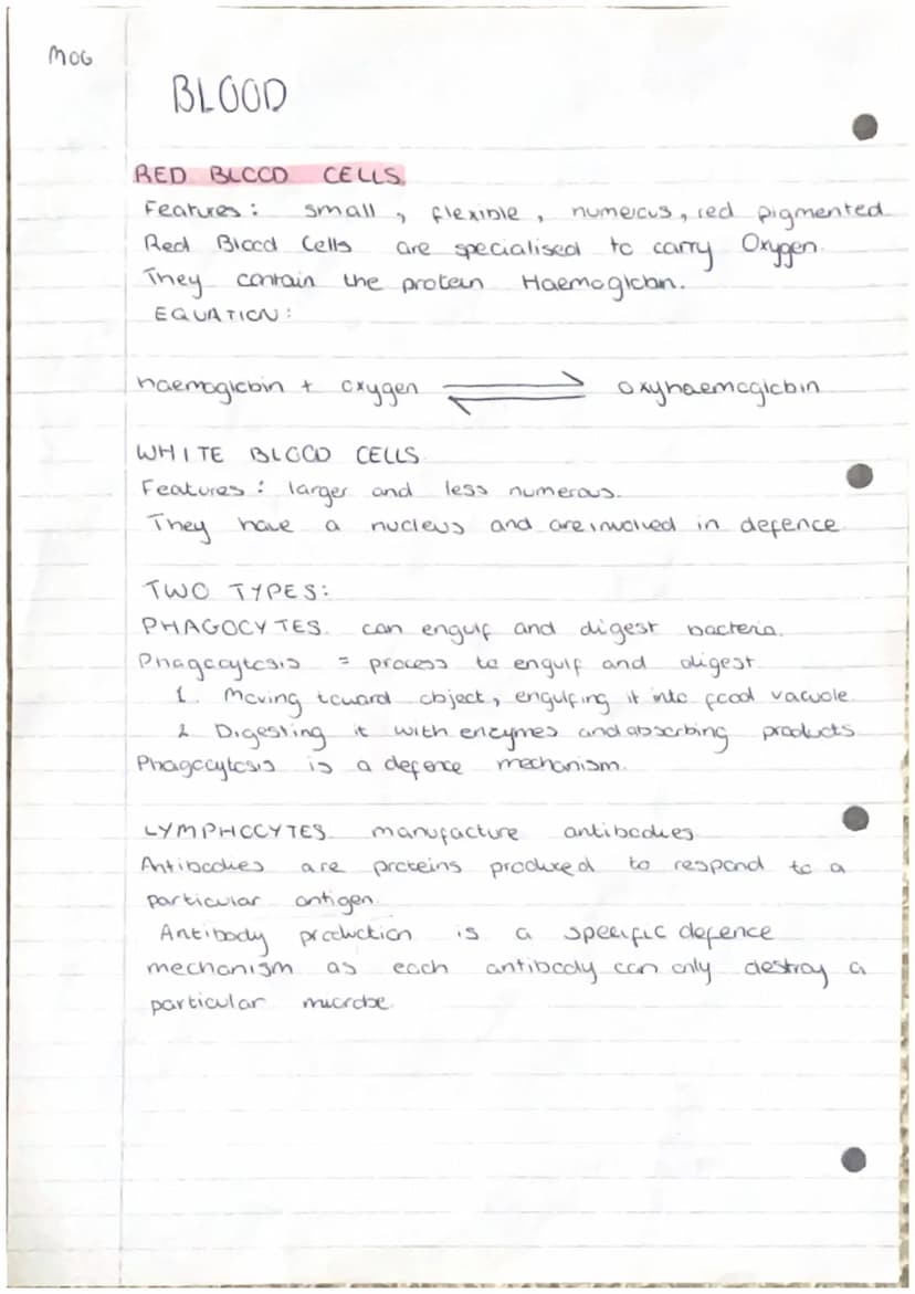 moi
2
3.
Producing New Cells
Cell
grow and
Humans have
from
*Ke
division
000
(000)
essential for
to
organisms
repair by replacing damaged ce