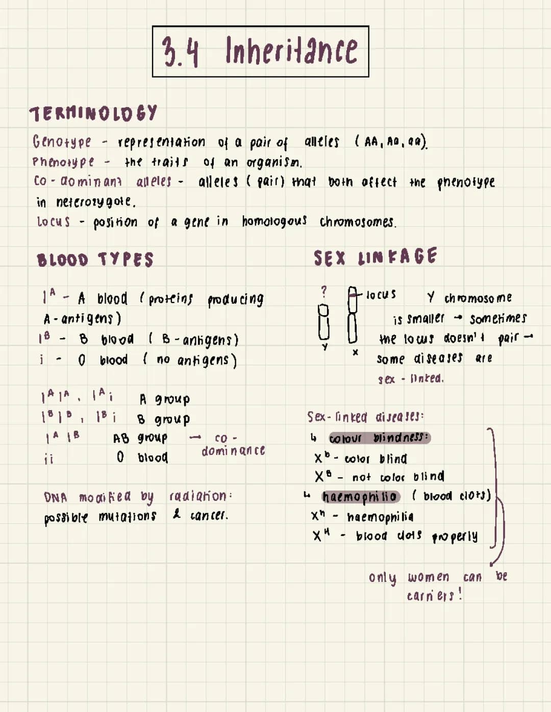 3.4 inheritance | ib biology sl