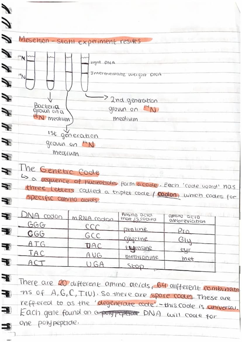 1.6 Nucleic acids and their functions
Nucleotides
L> DNA + RNA are made up of monomers called nucleotides
Leach nucleotide contains a phosph