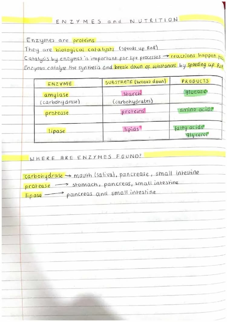 Know BIOLOGY - enzymes  thumbnail