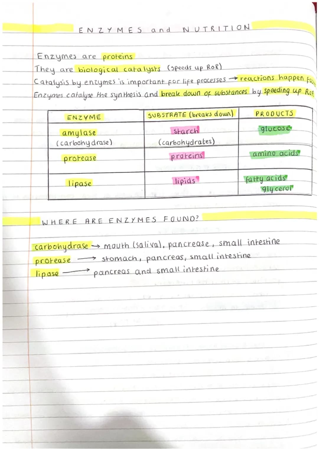ENZYMES
Enzymes are proteins.
They are biological catalysts (speeds up ROR)
Catalysis by enzymes is important for life processes → reactions