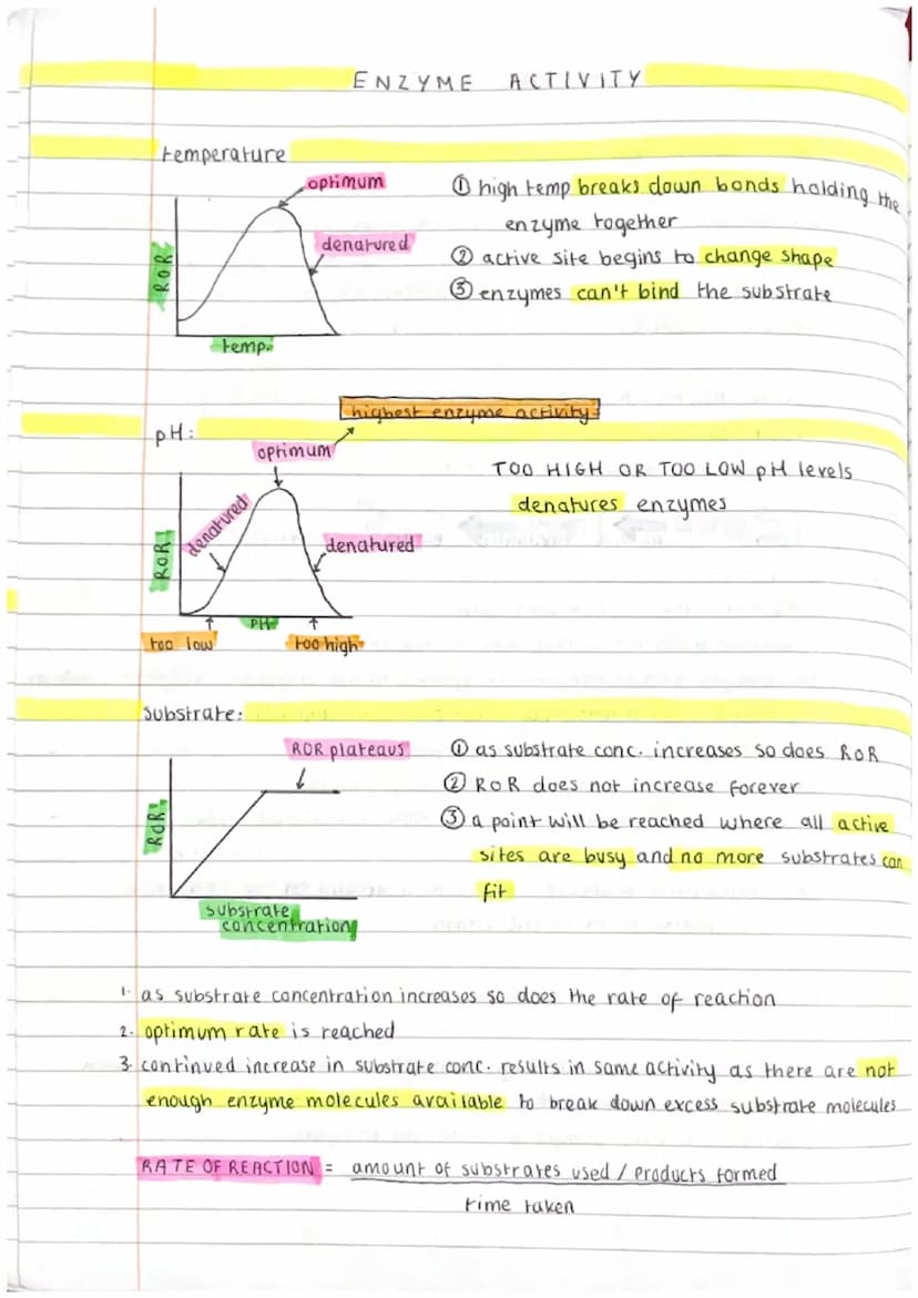 ENZYMES
Enzymes are proteins.
They are biological catalysts (speeds up ROR)
Catalysis by enzymes is important for life processes → reactions