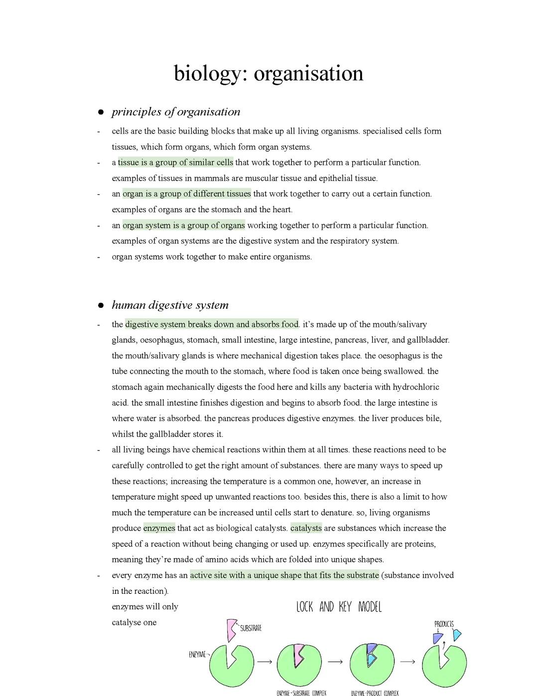 gcse | biology: organisation