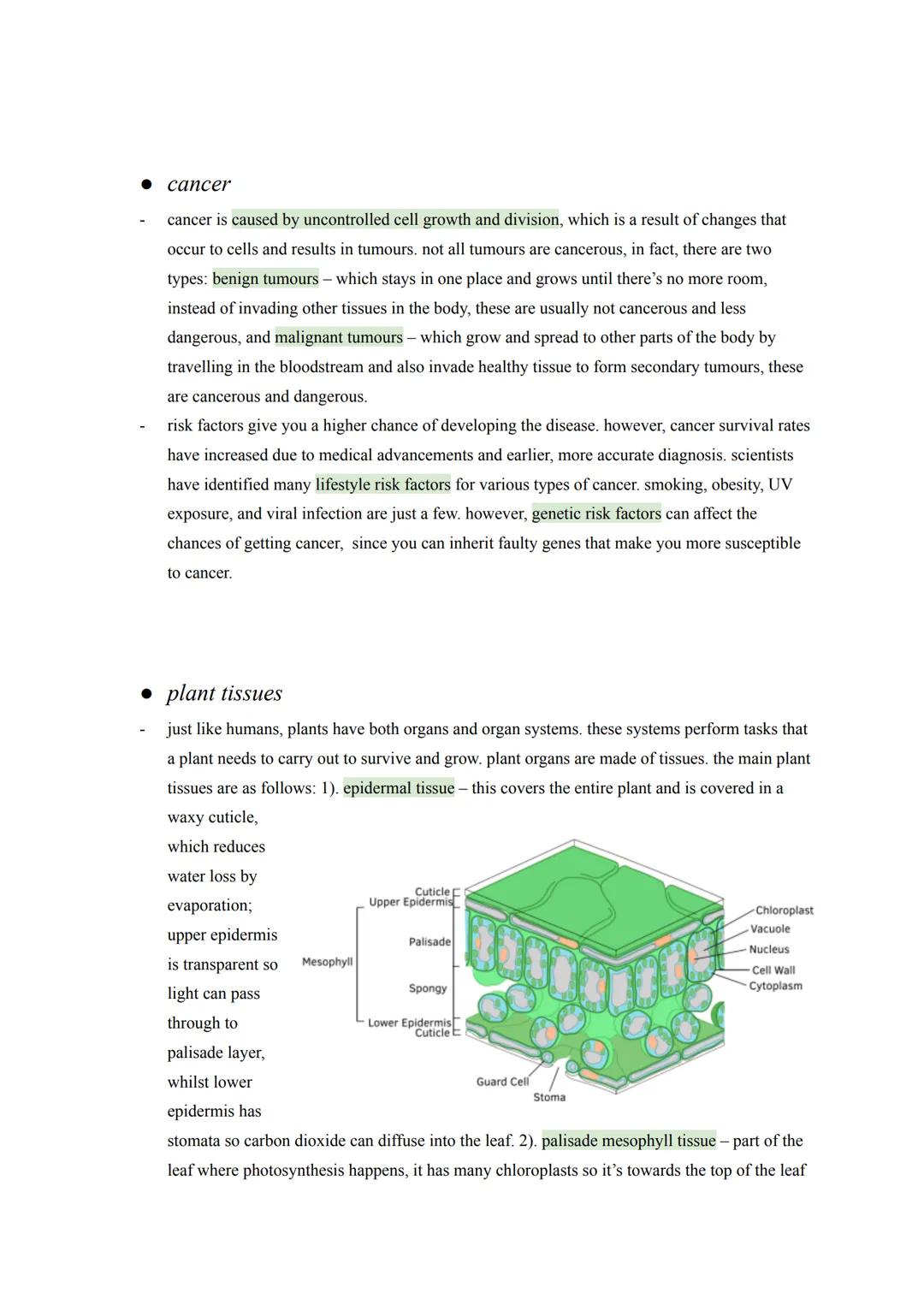 biology: organisation
• principles of organisation
cells are the basic building blocks that make up all living organisms. specialised cells 