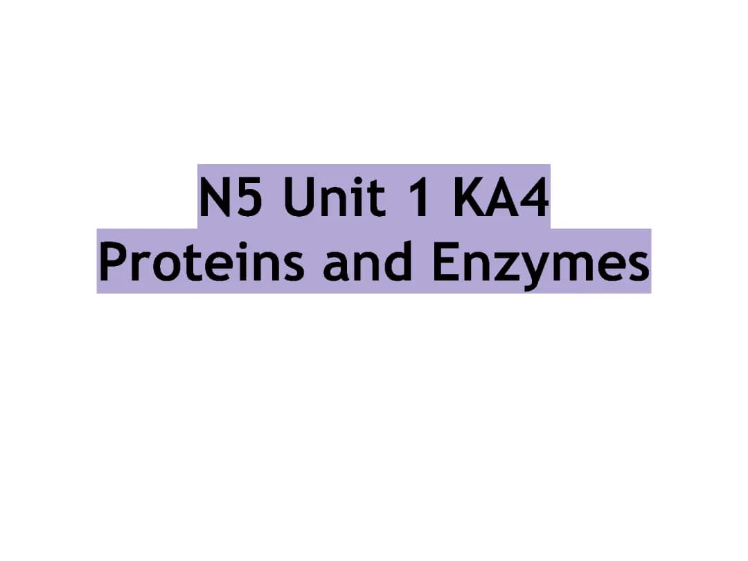 Understanding Enzymes: How They Work as Biological Catalysts