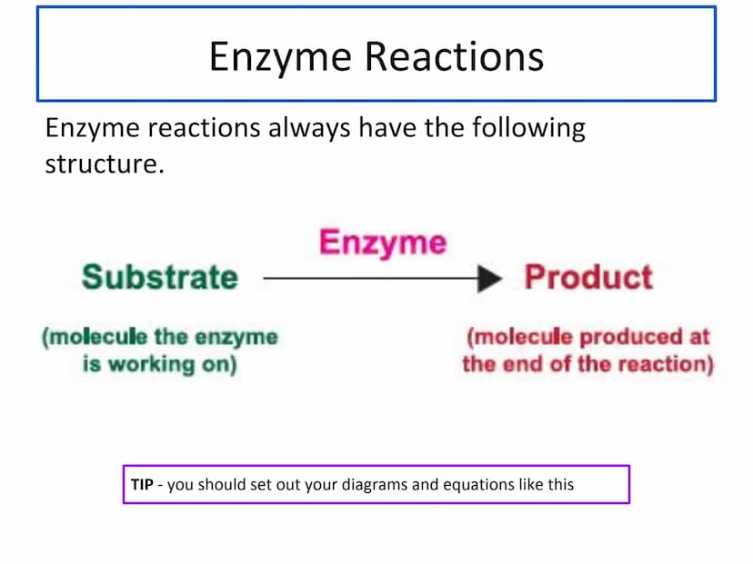 N5 Unit 1 KA4
Proteins and Enzymes N5 biology course
1. Cell Biology
2. Multicellular Organisms
3. Life on Earth Unit 1 Cell Biology
1. Cell