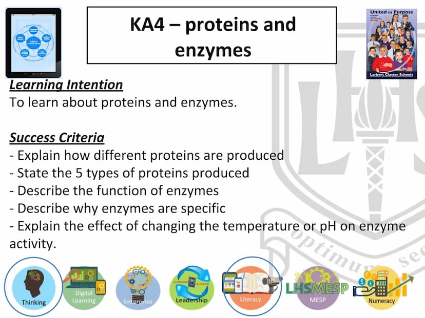 N5 Unit 1 KA4
Proteins and Enzymes N5 biology course
1. Cell Biology
2. Multicellular Organisms
3. Life on Earth Unit 1 Cell Biology
1. Cell