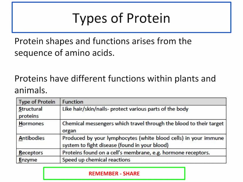 N5 Unit 1 KA4
Proteins and Enzymes N5 biology course
1. Cell Biology
2. Multicellular Organisms
3. Life on Earth Unit 1 Cell Biology
1. Cell