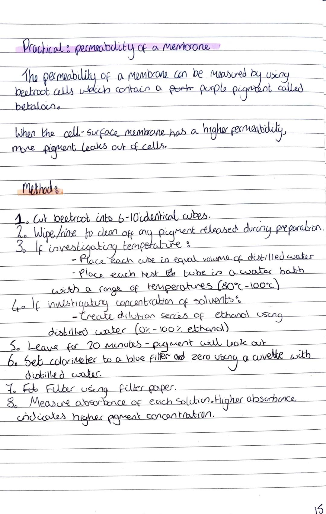 Practical: permeability of a membrane

The permeability of a membrane can be measured by using
beetrout cells which contain a porto purple p