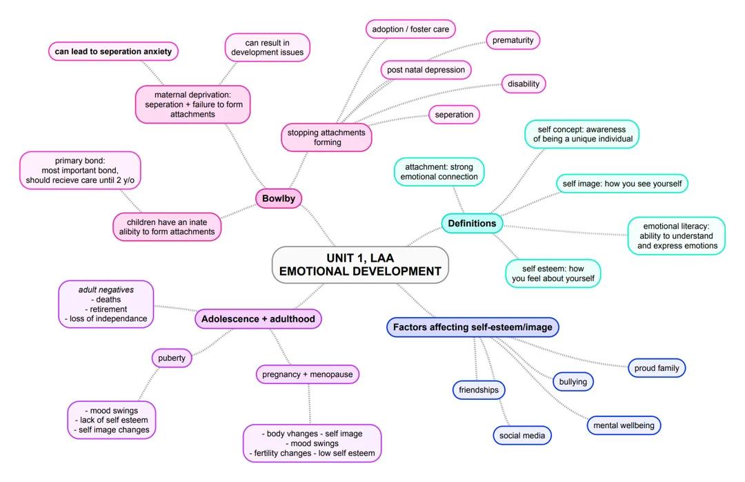 Everything You Need to Know About Mixed Ability Education and Mental Health Issues