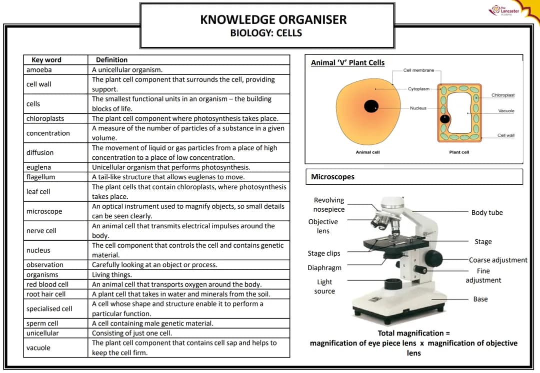 KNOWLEDGE ORGANISER BIOLOGY: CELLS
