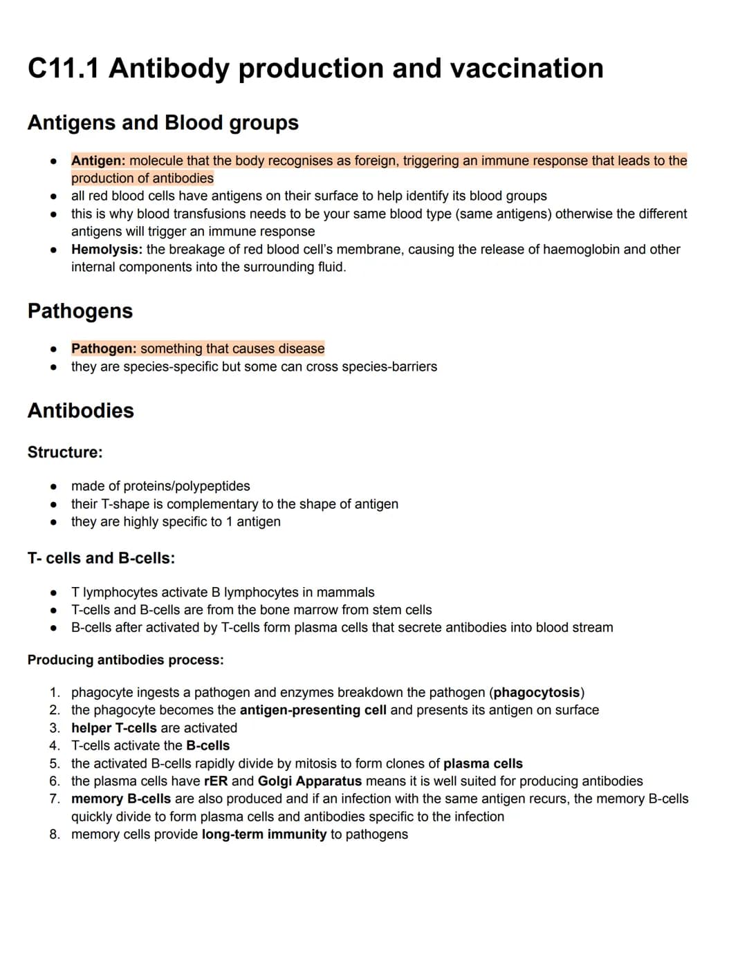 C11.1 Antibody production and vaccination
Antigens and Blood groups
• Antigen: molecule that the body recognises as foreign, triggering an i