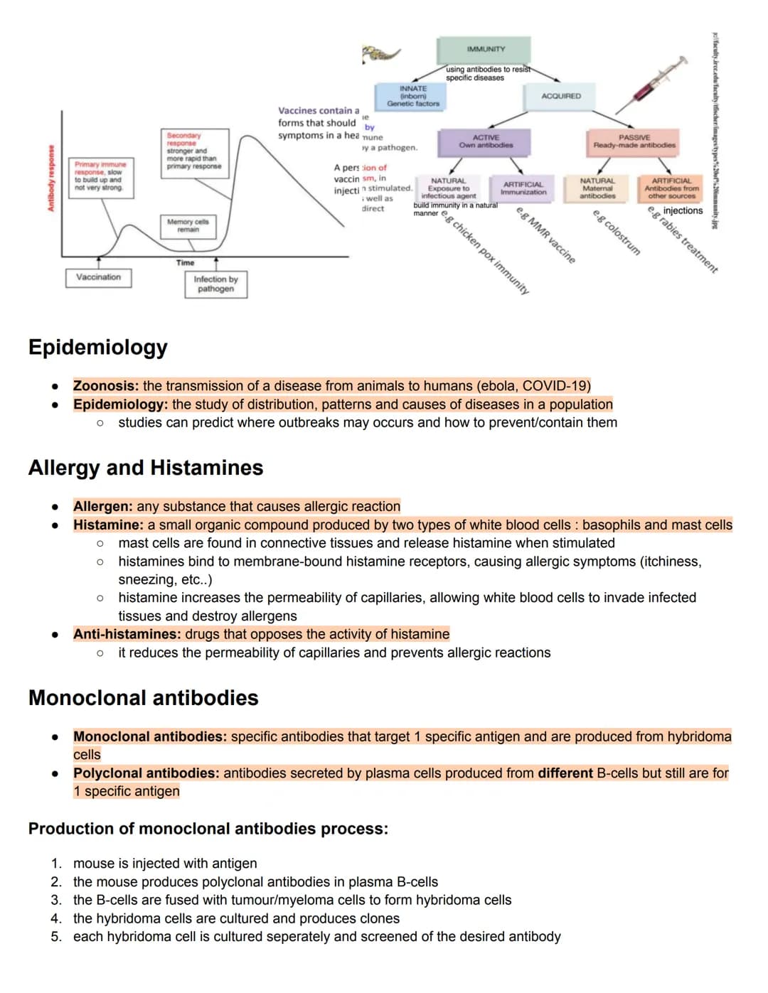 C11.1 Antibody production and vaccination
Antigens and Blood groups
• Antigen: molecule that the body recognises as foreign, triggering an i