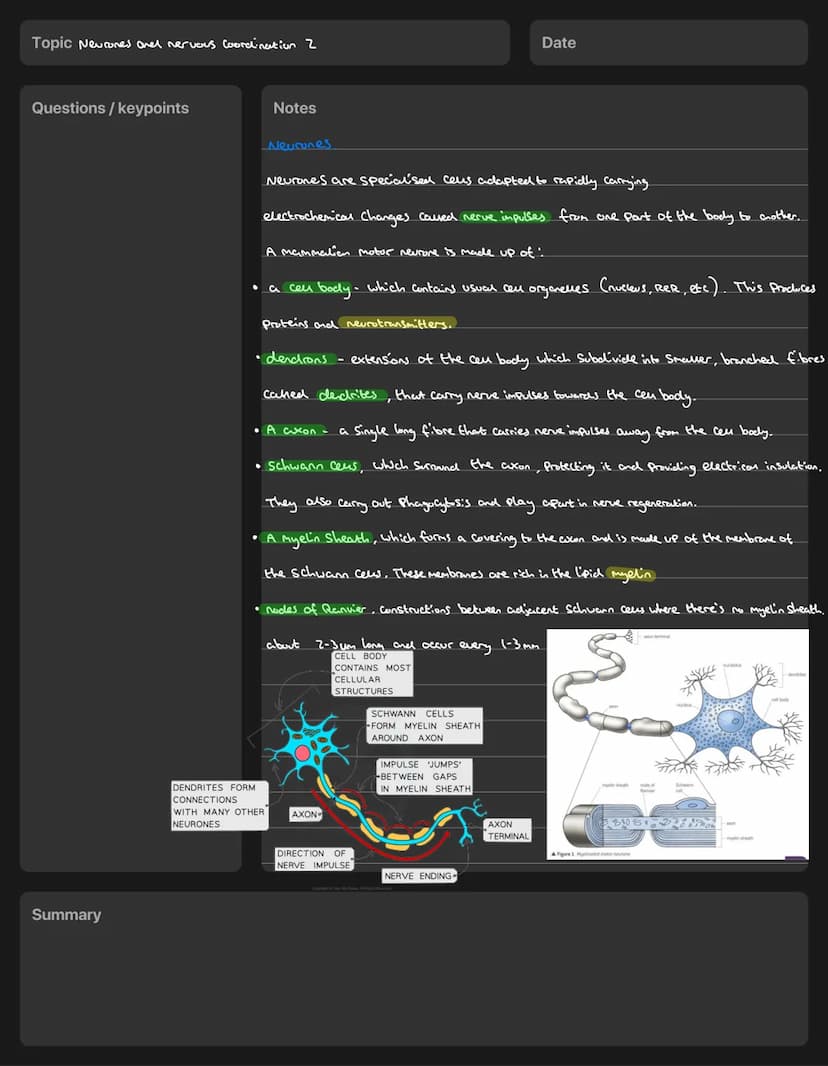  Topic Neurones and nervous coordination
Questions/keypoints
Summary
Date
Notes
Principles of Coordination
There are two main forms of coord