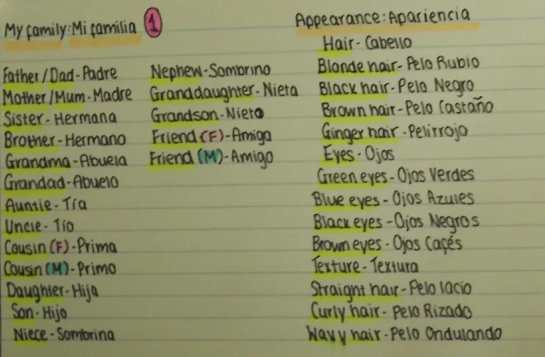 Master Spanish Basics with KS3 Flashcards