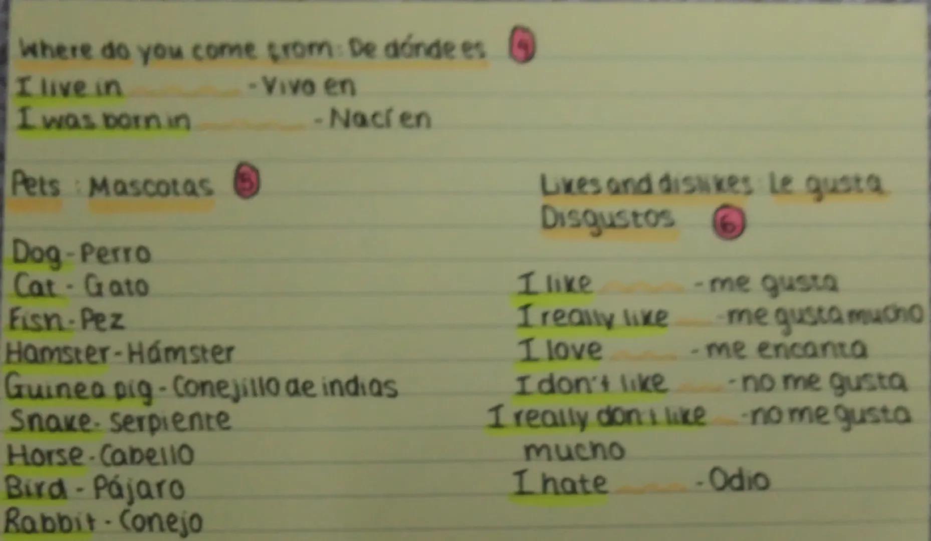 # My family:Mi familia 1

Father/Dad - Padre
Mother/Mum - Madre
Sister - Hermana
Brother - Hermano
Grandma - Abuela
Grandad - Abuelo
Auntie 