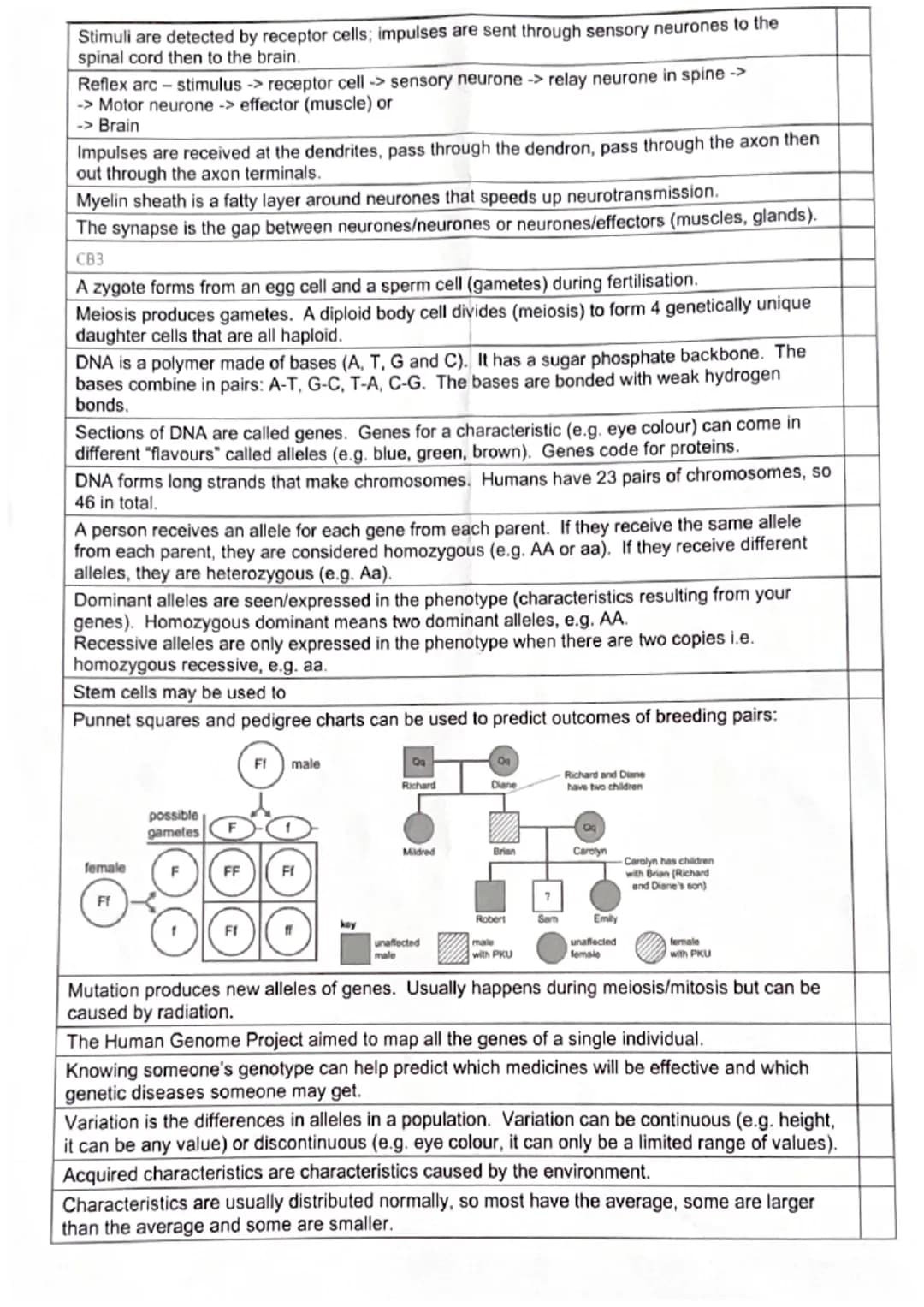 Biology Paper 1
CB1
Image size = magnification x object size
Magnification = objective x eye piece
Resolution is the smallest separation bet