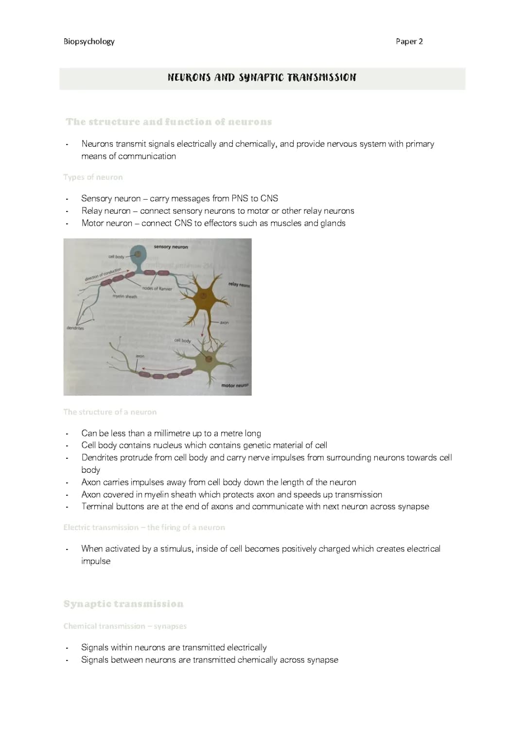 Fun with Neurons: Structure, Function, and Cool Diagrams