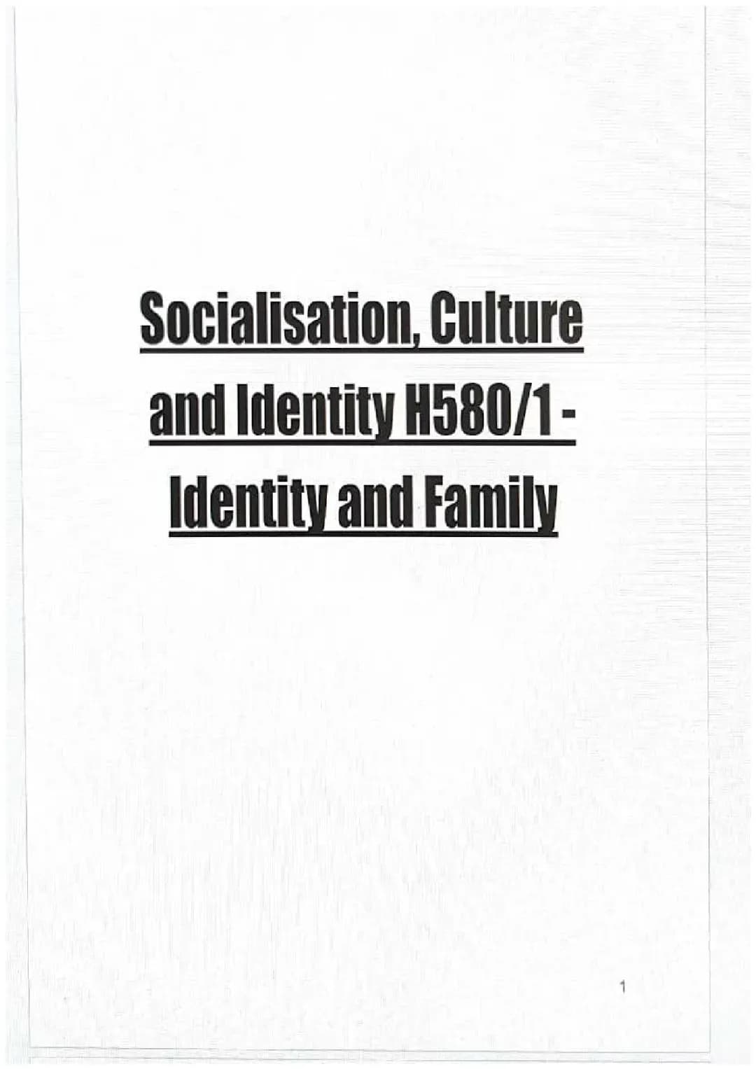 Types of Culture: Socialisation, Norms, and Values in Sociology