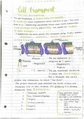 Know Cell transport notes thumbnail