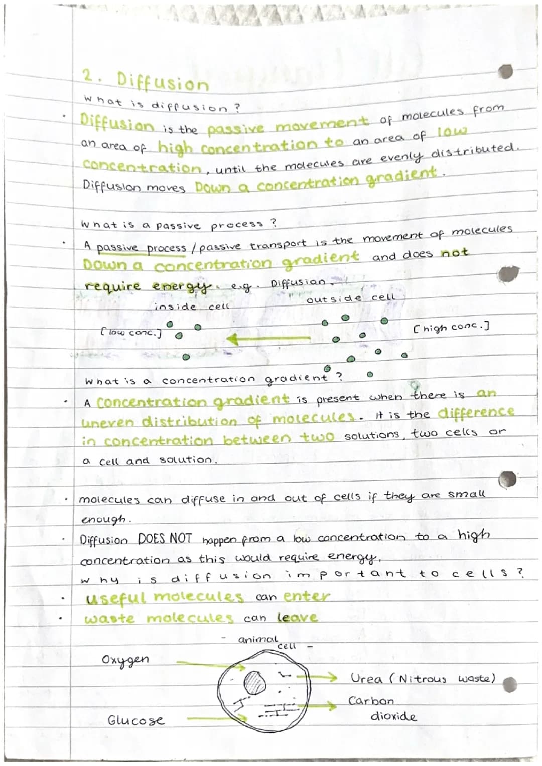 Cell transport
1. The cell membrane
The cell membrane is selectively permeable."
It controls what substances enter and exit a cell. The fact