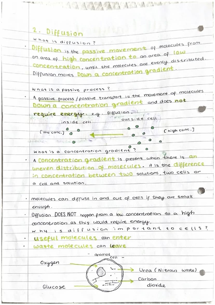Cell transport
1. The cell membrane
The cell membrane is selectively permeable."
It controls what substances enter and exit a cell. The fact