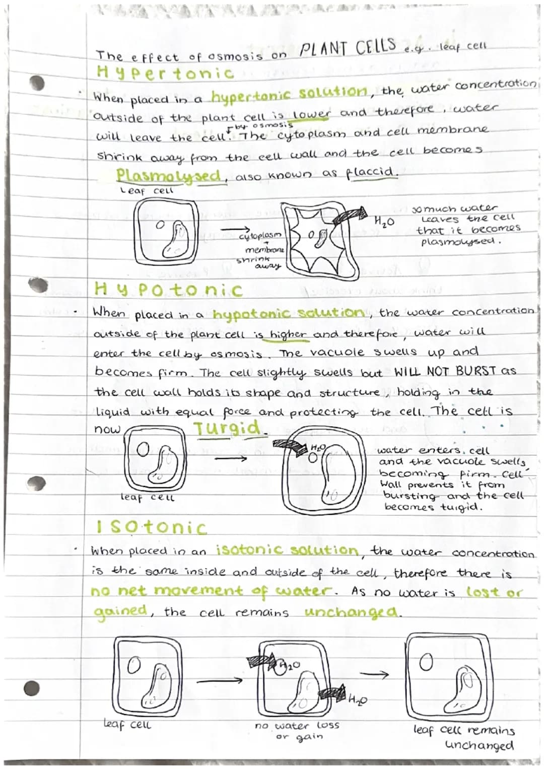 Cell transport
1. The cell membrane
The cell membrane is selectively permeable."
It controls what substances enter and exit a cell. The fact