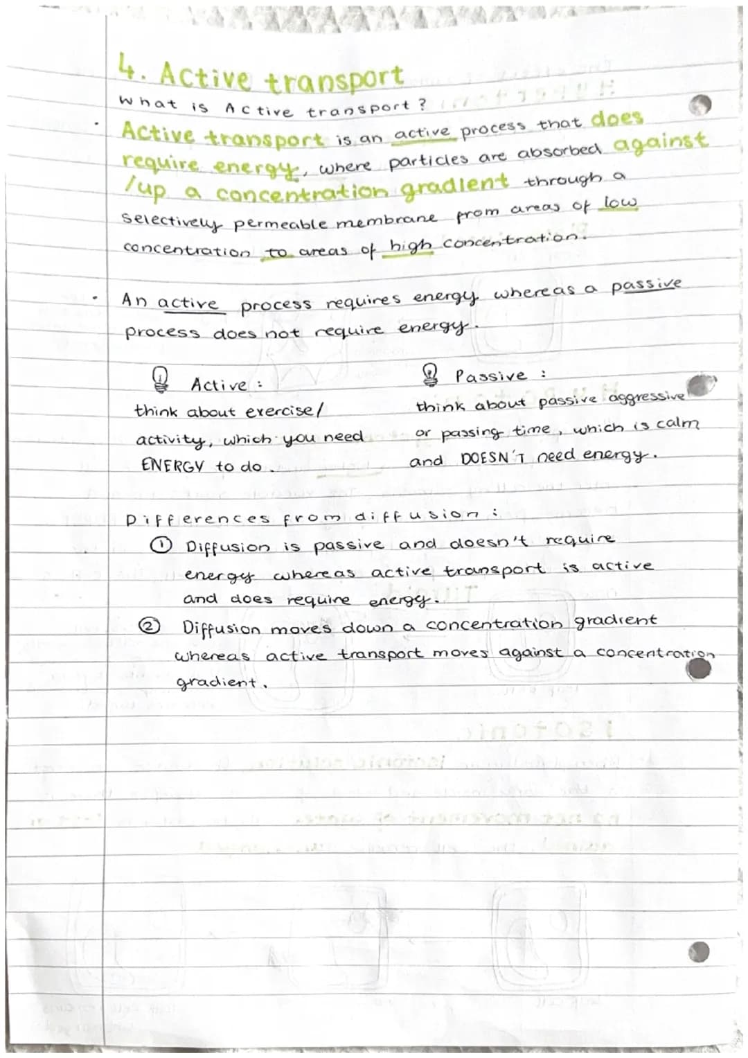 Cell transport
1. The cell membrane
The cell membrane is selectively permeable."
It controls what substances enter and exit a cell. The fact