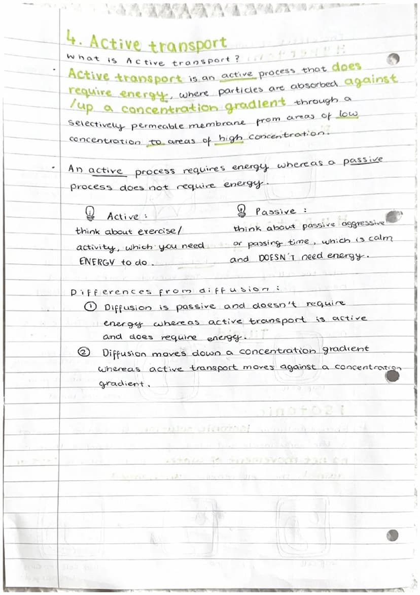 Cell transport
1. The cell membrane
The cell membrane is selectively permeable."
It controls what substances enter and exit a cell. The fact