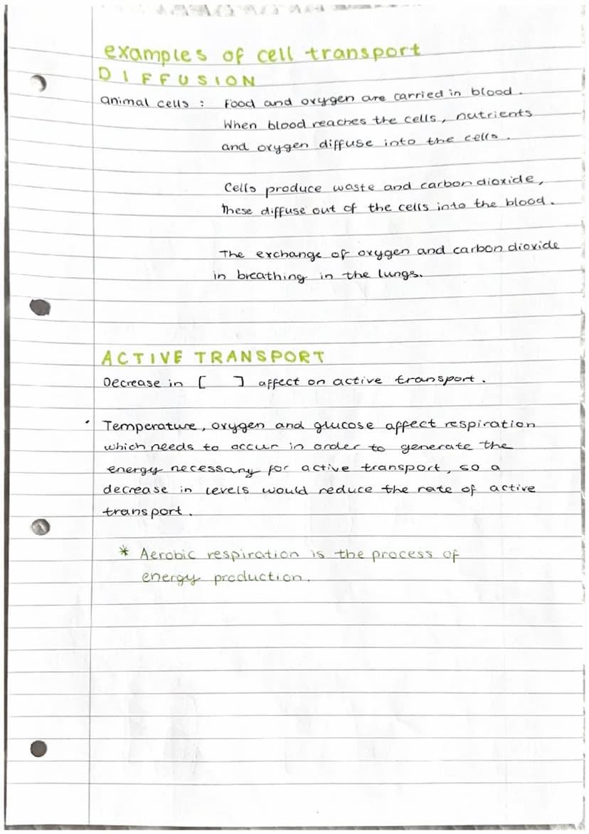 Cell transport
1. The cell membrane
The cell membrane is selectively permeable."
It controls what substances enter and exit a cell. The fact
