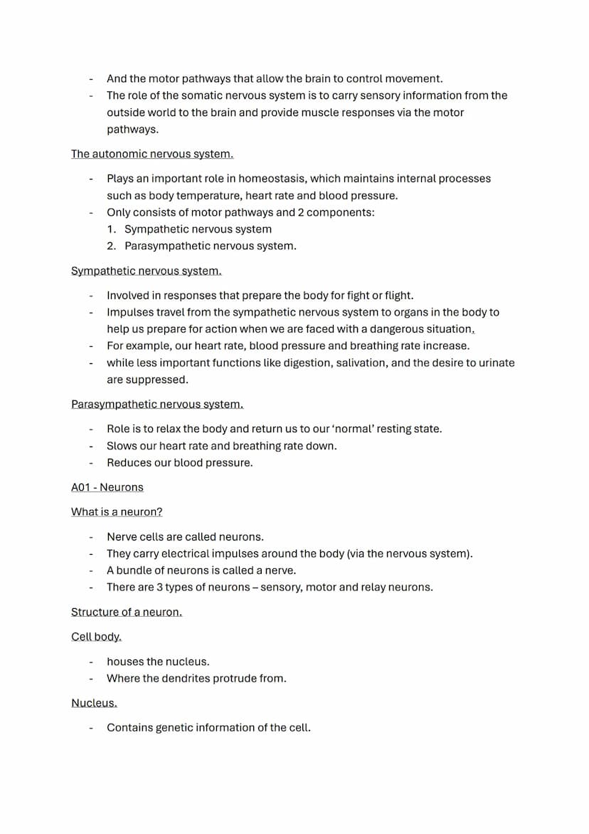 Biopsychology topic notes
The nervous system.
-
A specialised network of cells in the human body.
It is our primary internal communication s