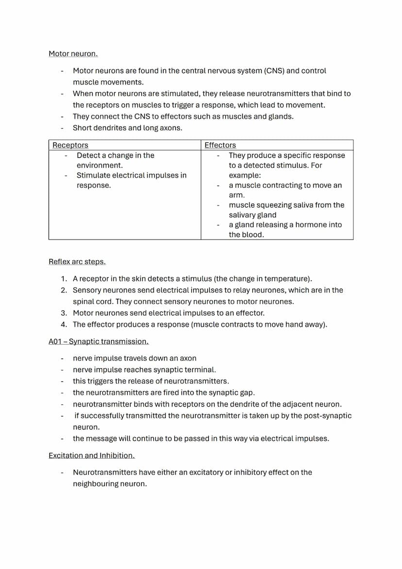 Biopsychology topic notes
The nervous system.
-
A specialised network of cells in the human body.
It is our primary internal communication s