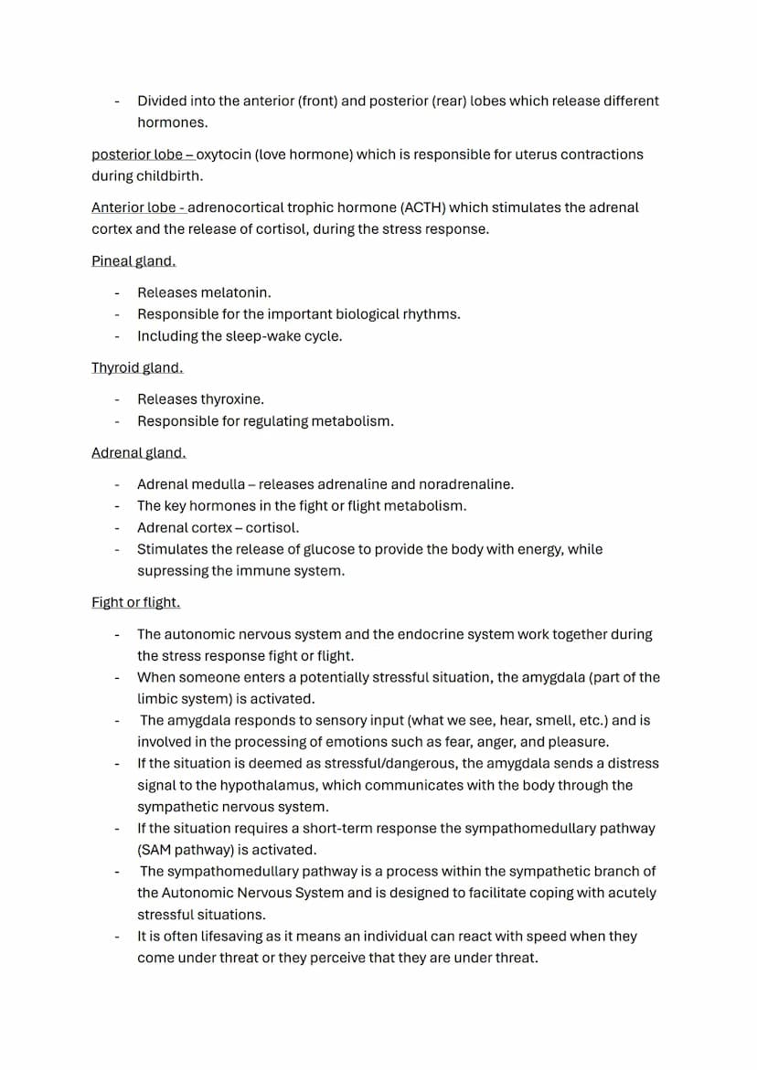 Biopsychology topic notes
The nervous system.
-
A specialised network of cells in the human body.
It is our primary internal communication s