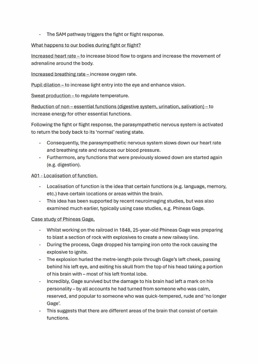 Biopsychology topic notes
The nervous system.
-
A specialised network of cells in the human body.
It is our primary internal communication s