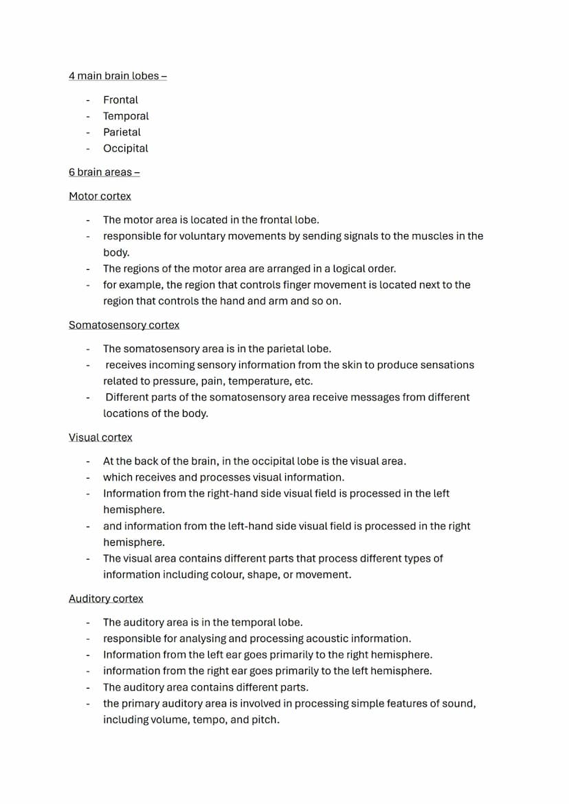 Biopsychology topic notes
The nervous system.
-
A specialised network of cells in the human body.
It is our primary internal communication s