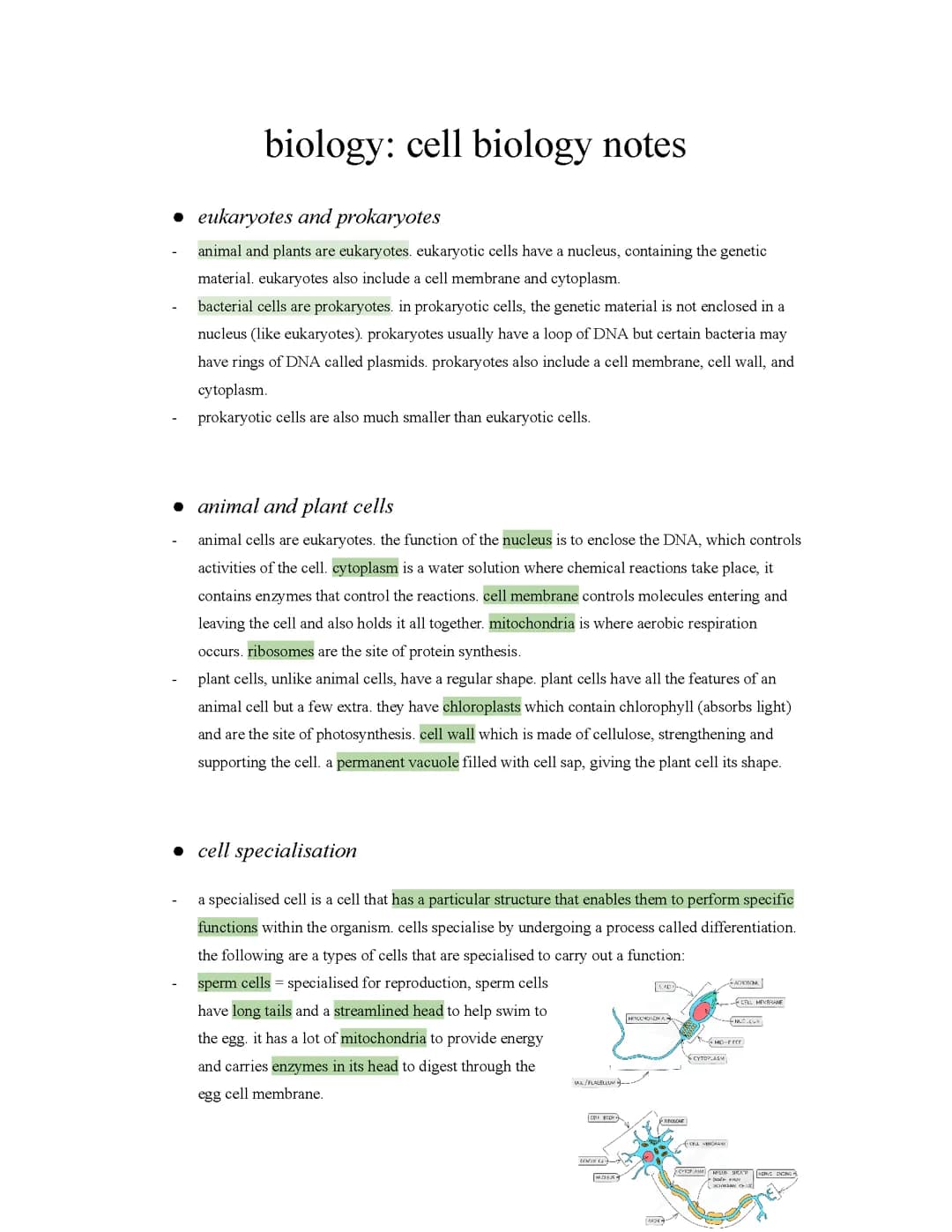 gcse | biology: cell biology