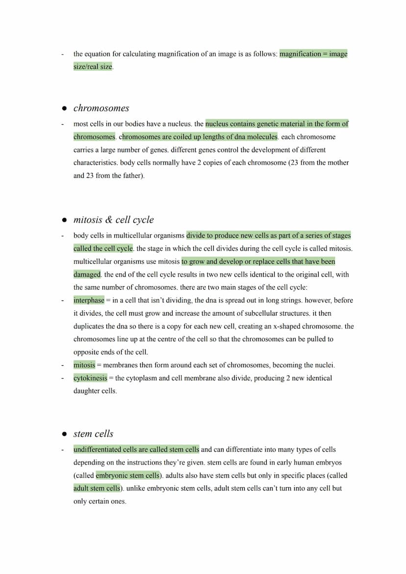 biology: cell biology notes
• eukaryotes and prokaryotes
animal and plants are eukaryotes. eukaryotic cells have a nucleus, containing the g