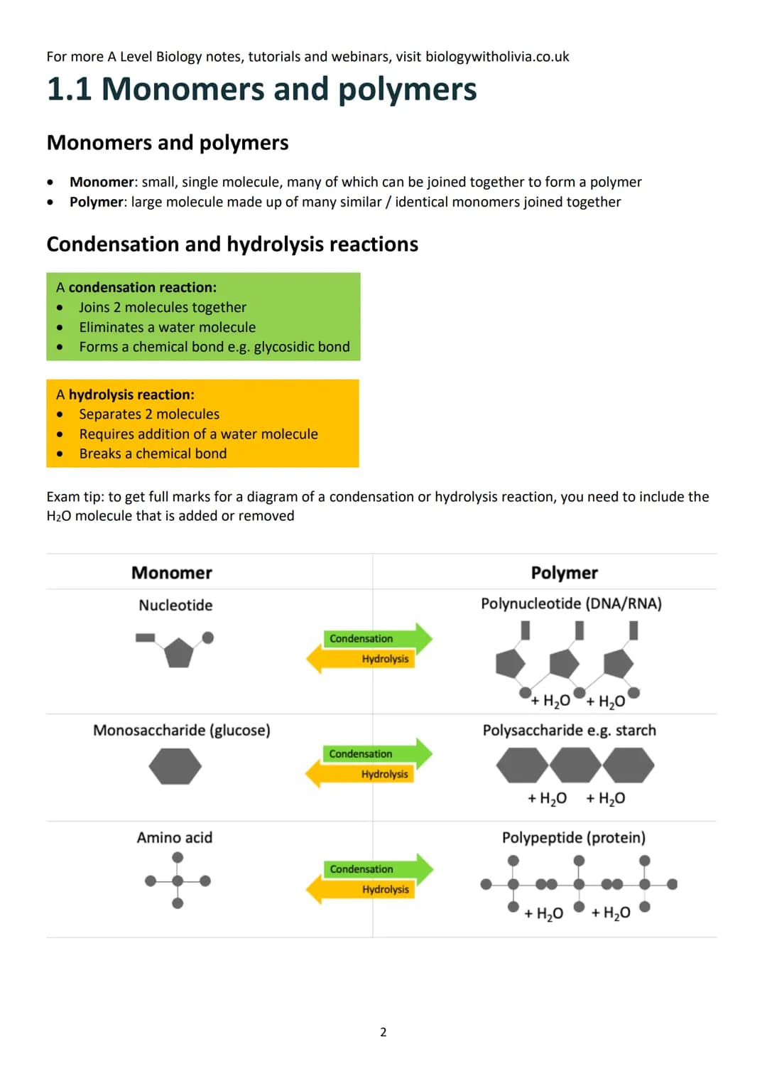 Topic 1: Biological Molecules
Contents (checklist)
1.1 Monomers and polymers .....
Monomers and polymers.....
Condensation and hydrolysis re