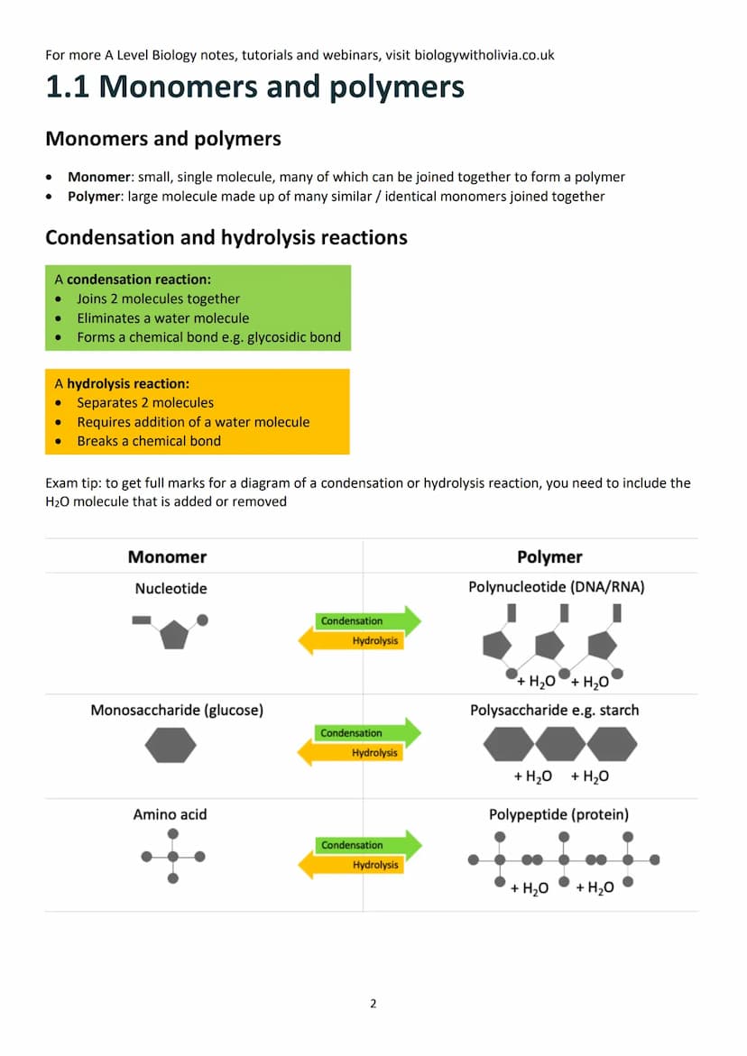 Topic 1: Biological Molecules
Contents (checklist)
1.1 Monomers and polymers .....
Monomers and polymers.....
Condensation and hydrolysis re