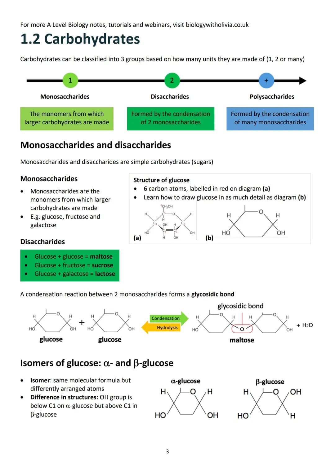 Topic 1: Biological Molecules
Contents (checklist)
1.1 Monomers and polymers .....
Monomers and polymers.....
Condensation and hydrolysis re